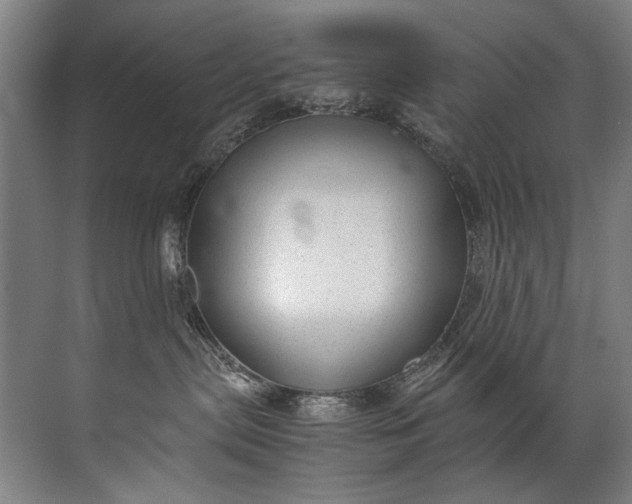 X0000072530287200607290232