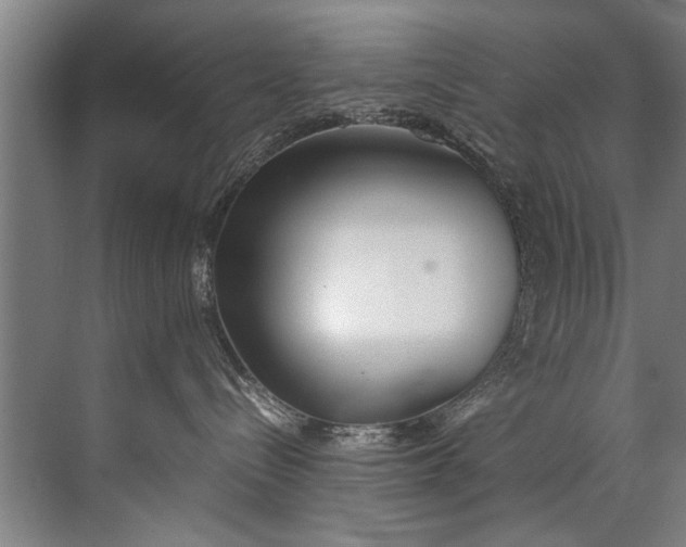 X0000072530288200607290232