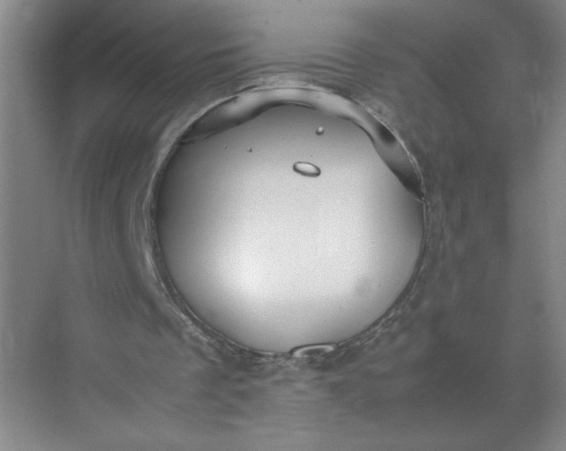 X0000072530289200607290231