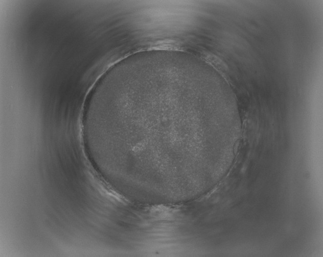 X0000072530290200607290231