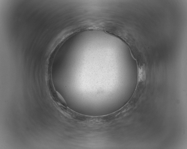 X0000072530291200607290231