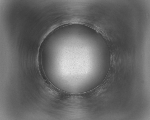 X0000072530292200607290231