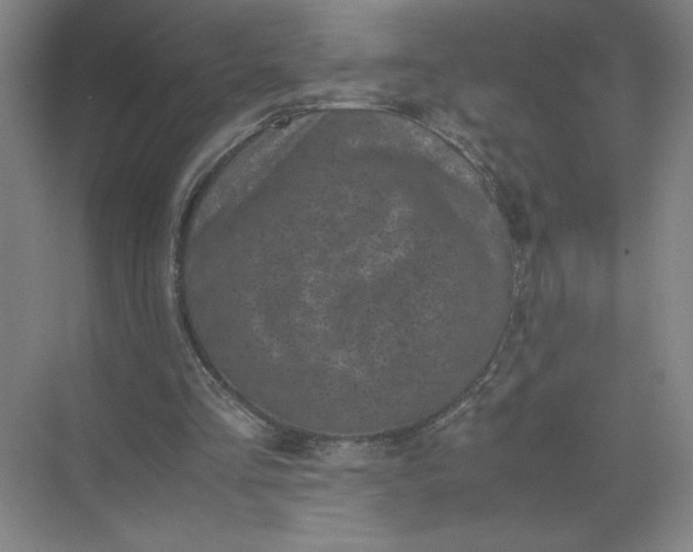 X0000072530293200607290231