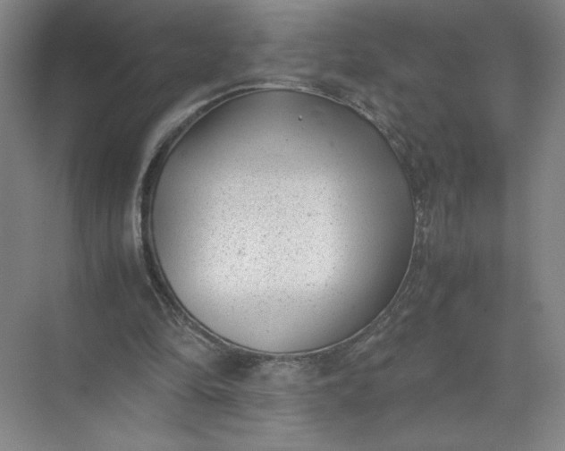 X0000072530294200607290231