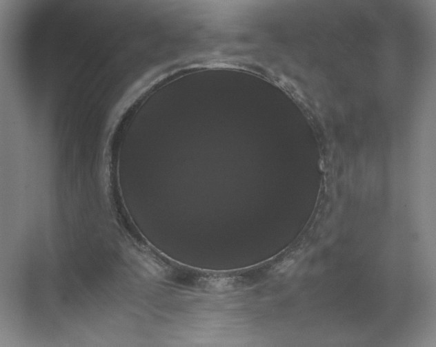 X0000072530295200607290231