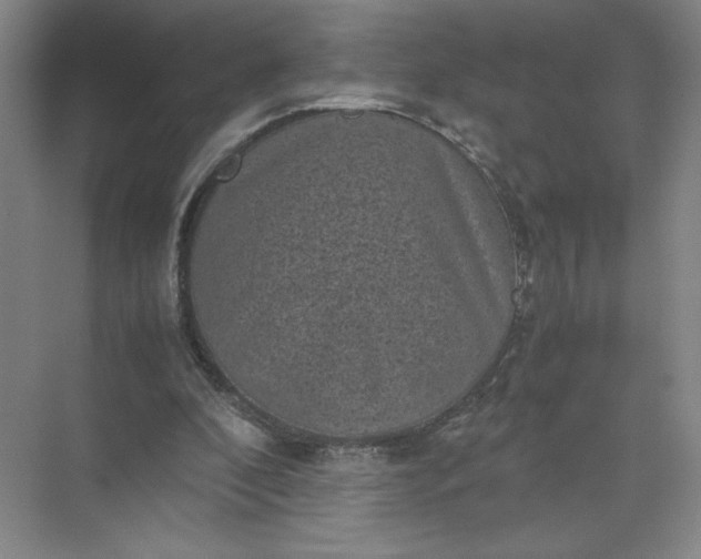 X0000072530296200607290231