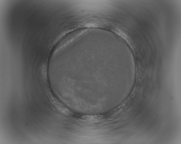 X0000072530297200607290231