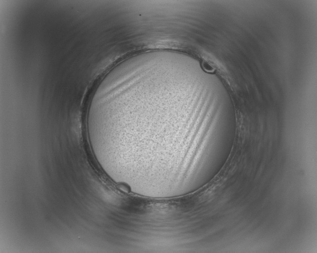 X0000072530298200607290231