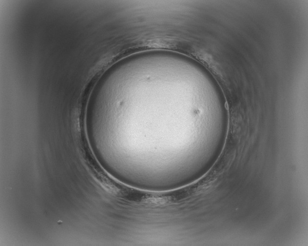 X0000072530299200607290231