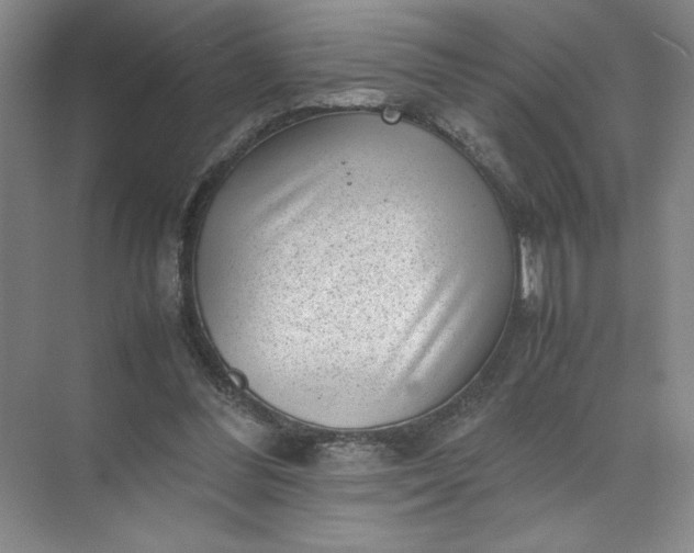 X0000072530300200607290231