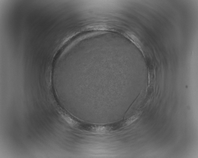 X0000072530301200607290231