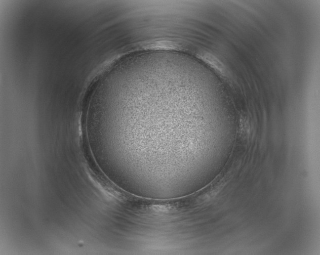 X0000072530302200607290231