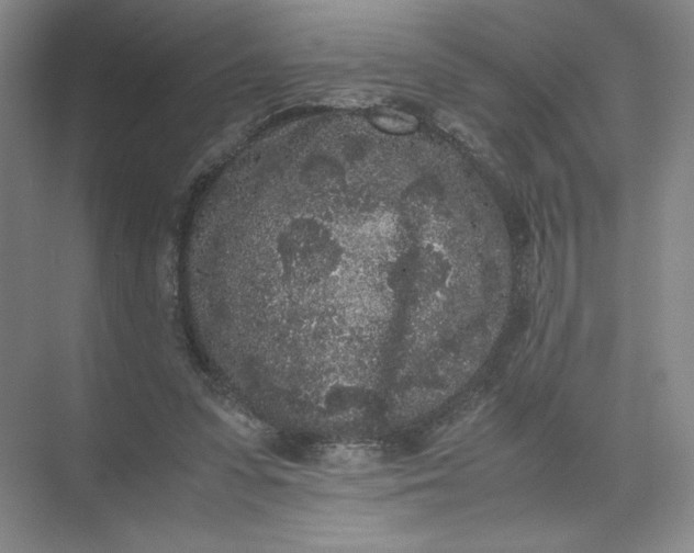 X0000072530303200607290231