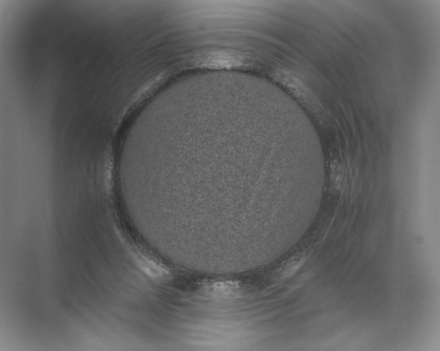 X0000072530304200607290231