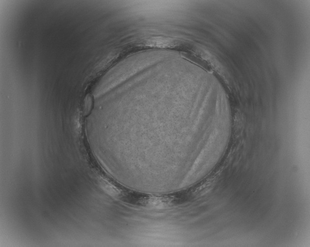 X0000072530305200607290231