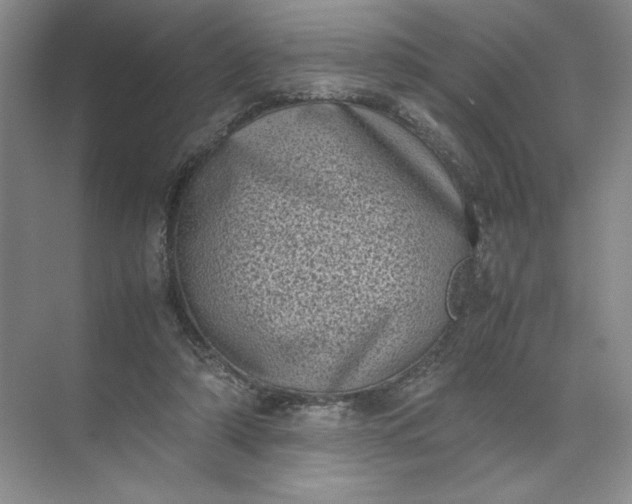 X0000072530306200607290231