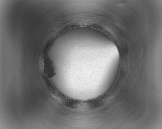 X0000072530307200607290231