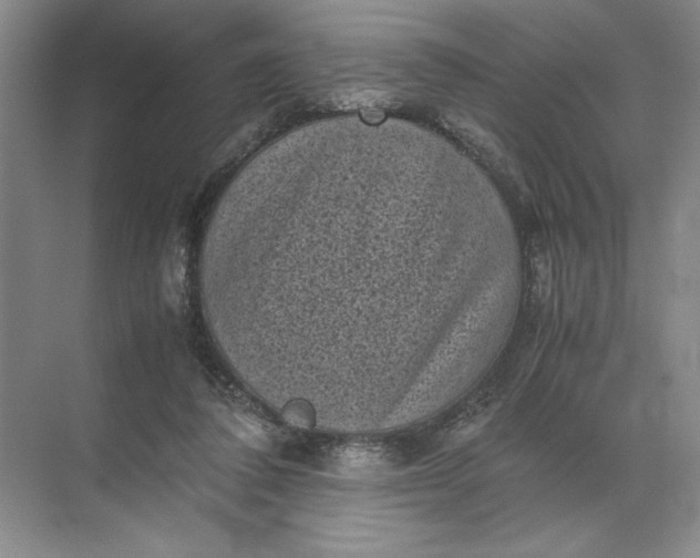 X0000072530308200607290231