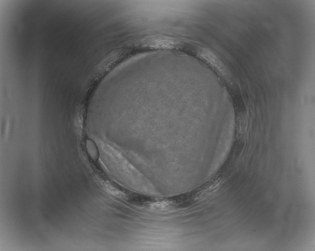 X0000072530309200607290231