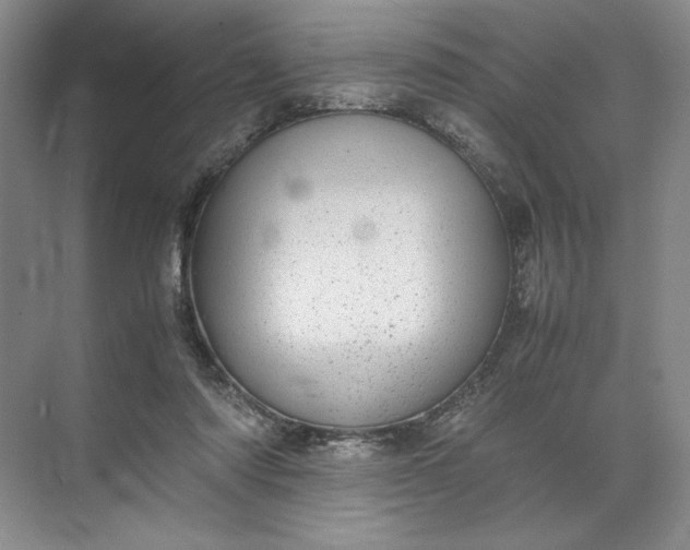 X0000072530310200607290231