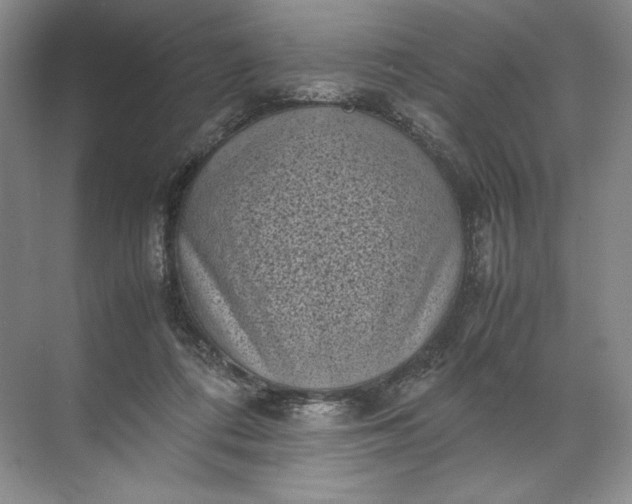 X0000072530312200607290231