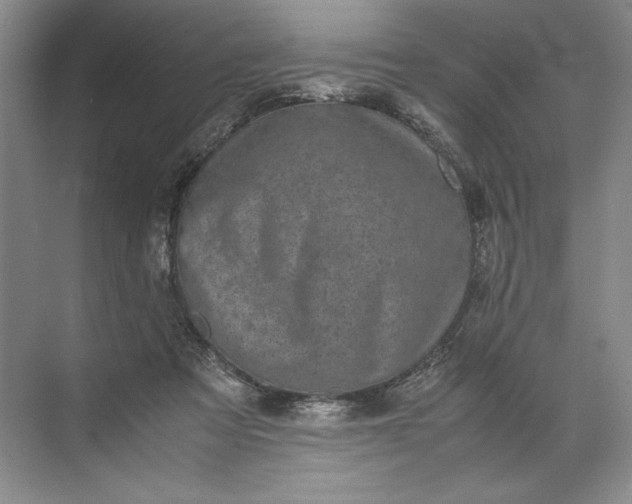 X0000072530313200607290231