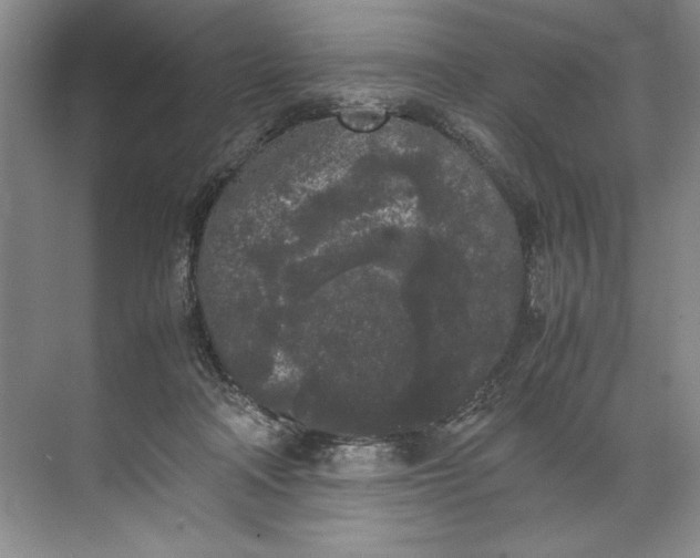 X0000072530314200607290231