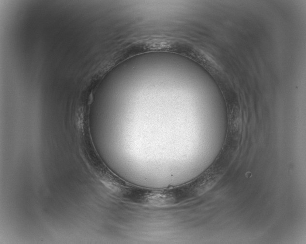 X0000072530315200607290231