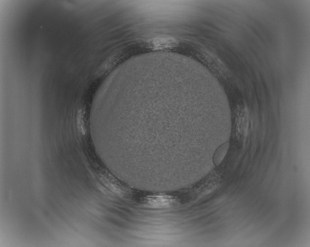 X0000072530316200607290231