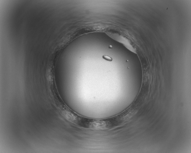 X0000072530317200607290231