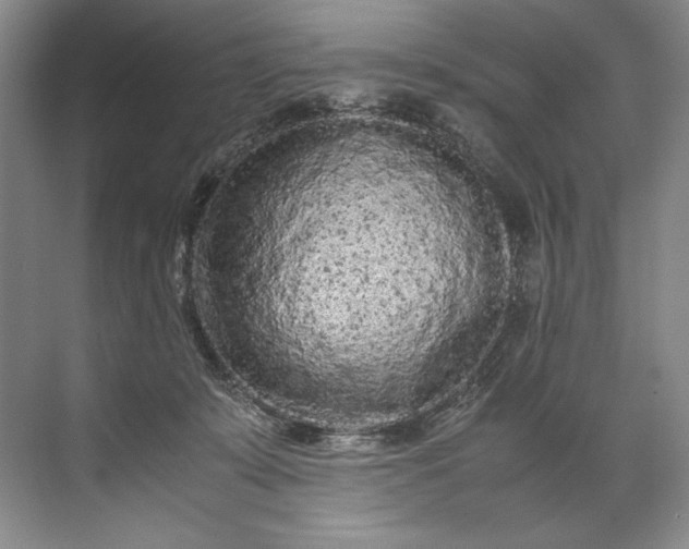 X0000072530319200607290231