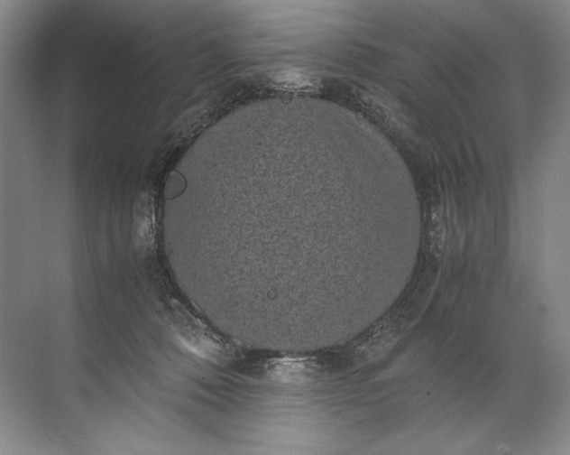 X0000072530320200607290231