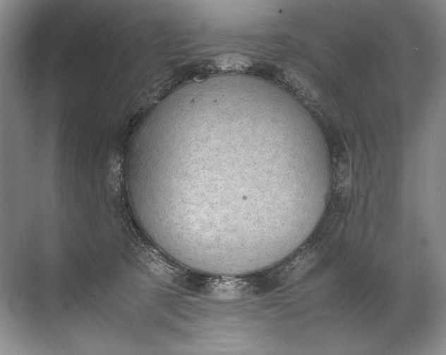 X0000072530321200607290231