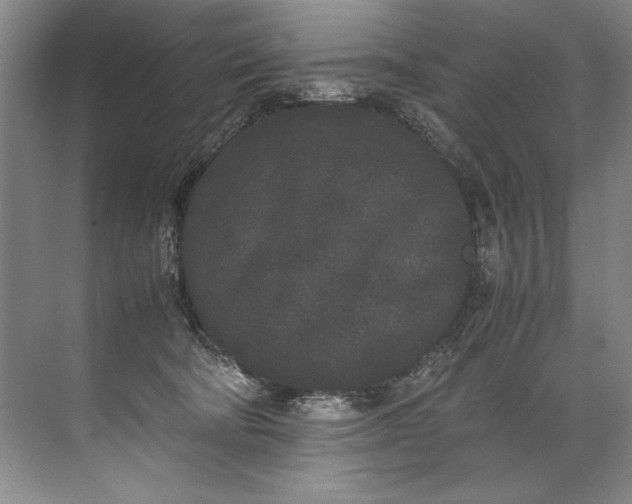 X0000072530322200607290231