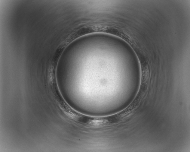 X0000072530323200607290231