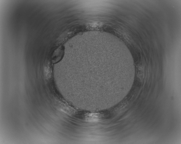 X0000072530324200607290231