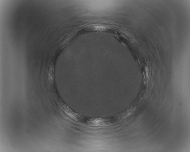 X0000072530325200607290231