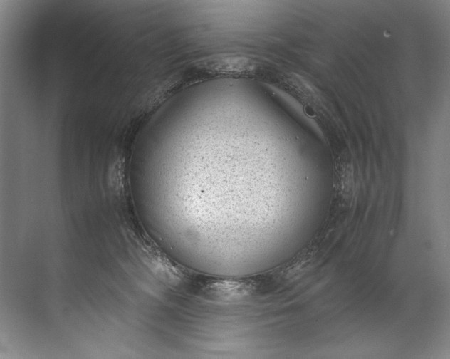 X0000072530326200607290231