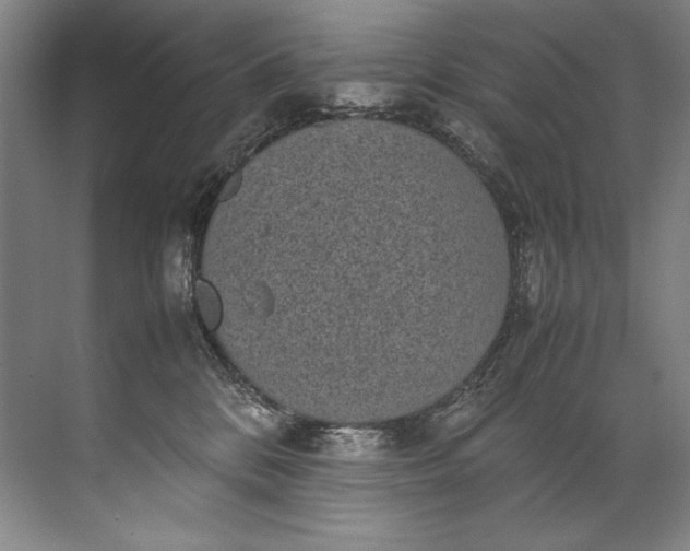 X0000072530328200607290231