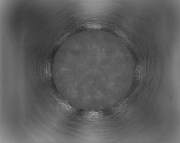 X0000072530330200607290231