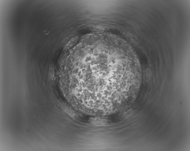 X0000072530331200607290231