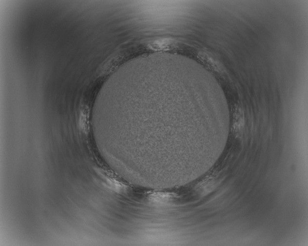 X0000072530332200607290231