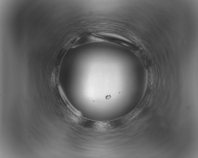 X0000072530333200607290231