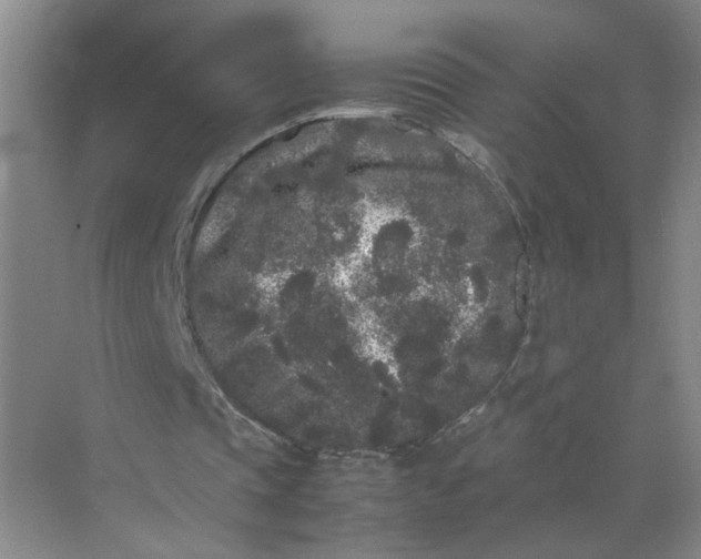 X0000072530337200607290230