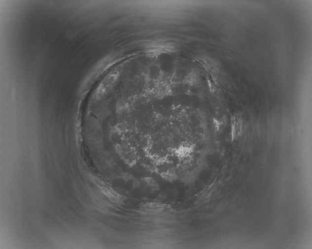 X0000072530339200607290230