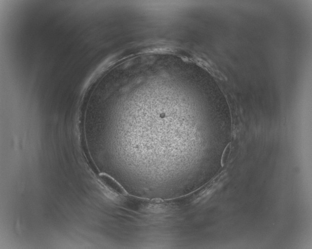 X0000072530341200607290230