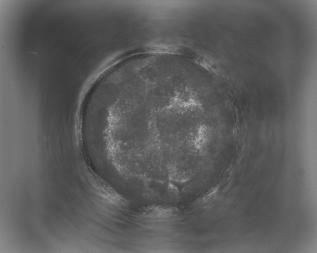 X0000072530343200607290230