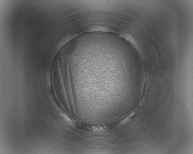 X0000072530345200607290230