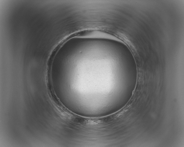 X0000072530346200607290230