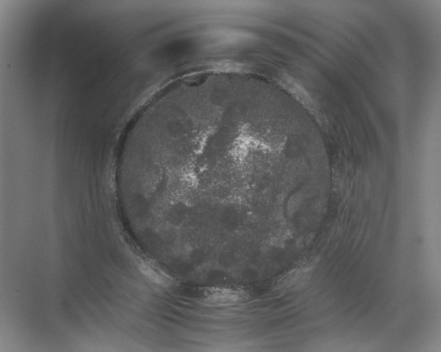 X0000072530347200607290230